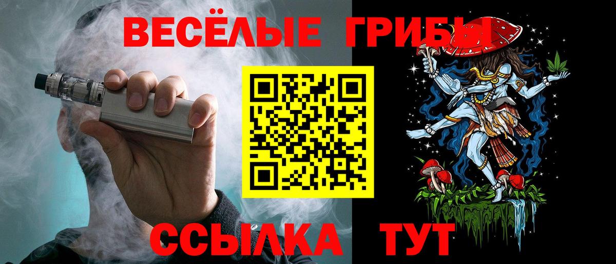 Егорьевск  Псилоцибиновые грибы Magic Shrooms  Вход с VPN  Псилоцибиновые грибы Psilocybine cubensis 
